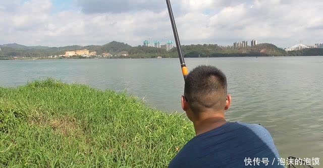 鲢鳙|盘点几种夏天野钓的天然重窝,切记准备要大钩粗线