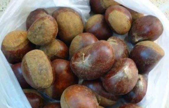 柠檬酸|晨起时若没4个现象,说明肾脏还很健壮,若你有,别不当回事