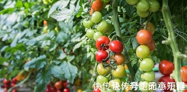 22个冷知识：只有少数人知晓，但知道了或许也无处使用