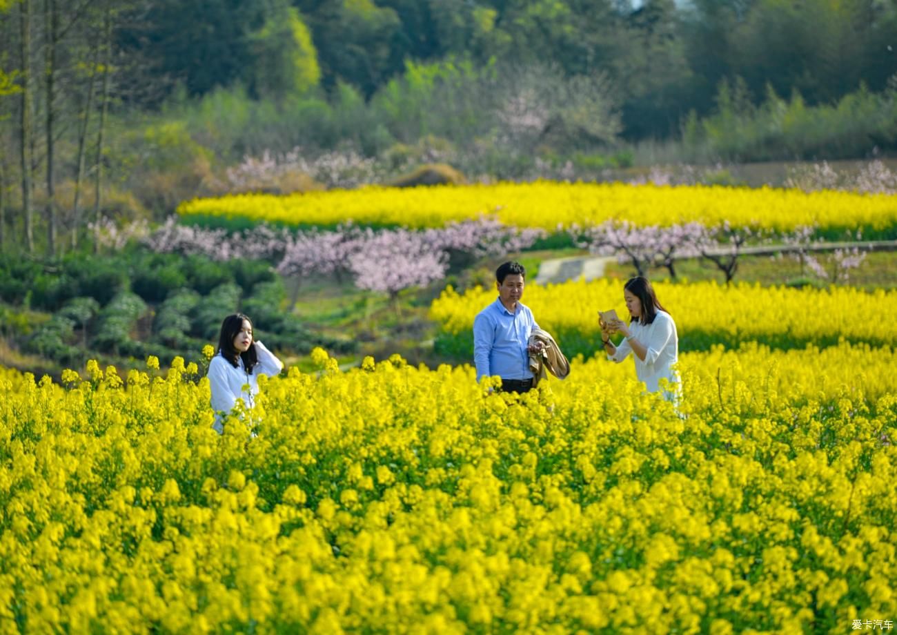 在安徽黟县旅行，西递、屏山、桃花源这三个地方，很值得看一看