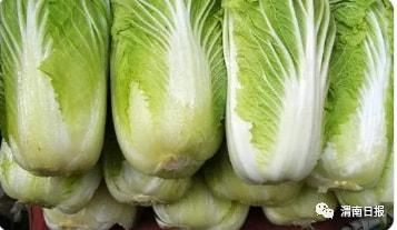 维生素c|十大健康食品已公布，大蒜只排第九位~