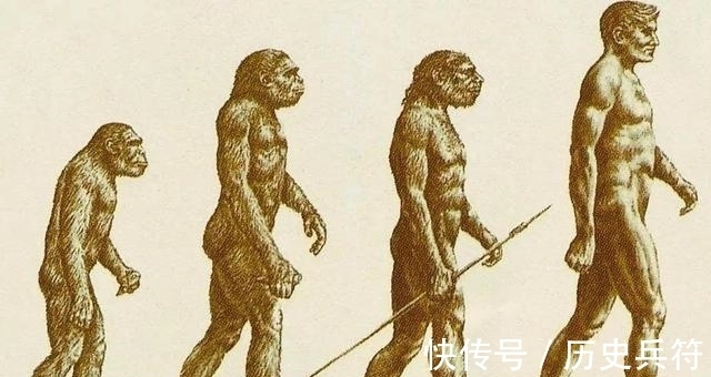 夏目漱石&今日书单,3本用动物视角看人类的书,了解真实的自己