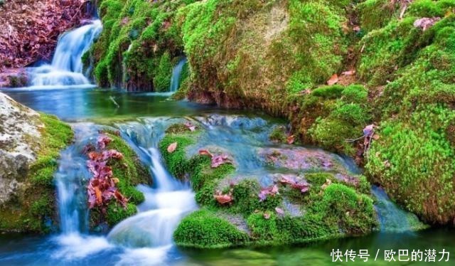 厚福|厚道之人,必有厚福,善良之人,必有善报!