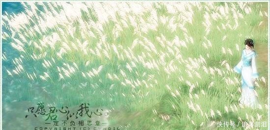 失敬|“我想你了”用文言文怎么表达原来古人才是撩妹高手,失敬了!