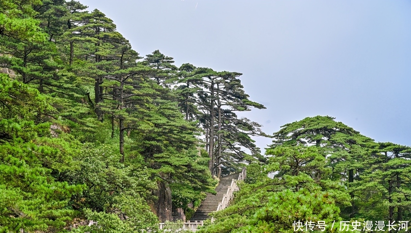 穿过云海的小火车，不用爬山就能饱览黄山美景，仿佛在仙境