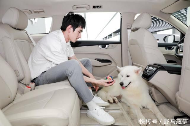 沙发|买五菱凯捷像买房客厅够宽沙发大，卧室级静音好睡觉