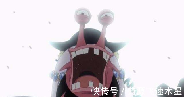 布鲁克|尾田的最佳设计,电话虫才是海贼王里的完美演员!黄猿赶快靠边站