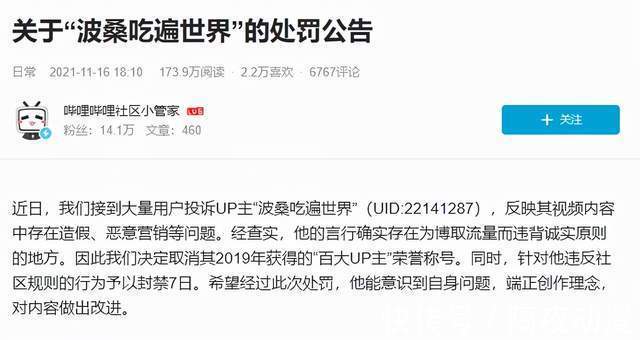 n2|从“B站百大”到“诈骗观众”,波桑是如何一步步掉落神坛的?