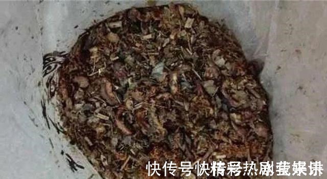 偏方|悄悄告诉你,学会4个老花农的养花“偏方”,家里花卉“嗖嗖长”