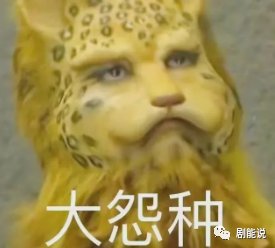 听句劝，看到他们赶紧跑