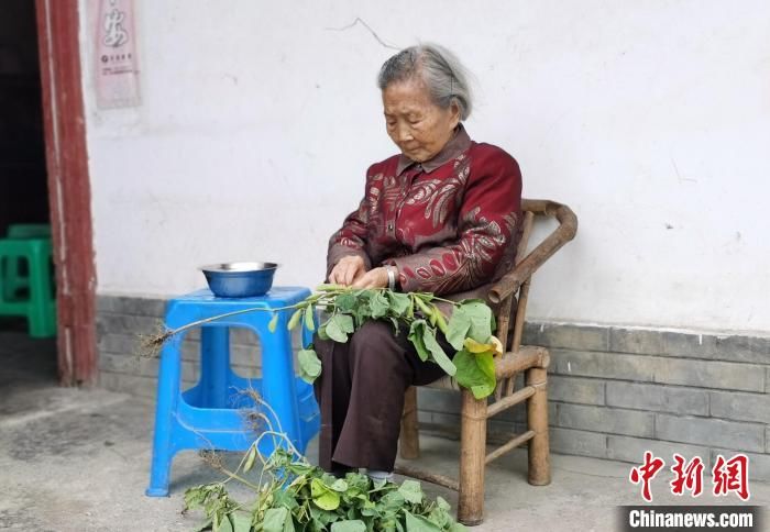 刘桂珍|四川105岁老人能读书写字 长寿秘诀为遇事心态要好