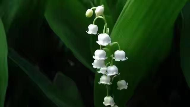 孩子|为人父母，千万不要穷养孩子，不然会留有一生遗憾