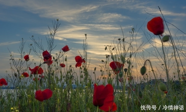 农历|生日是几月份的人，巧舌如簧会说话，嘴甜心善会做人，财运自然好