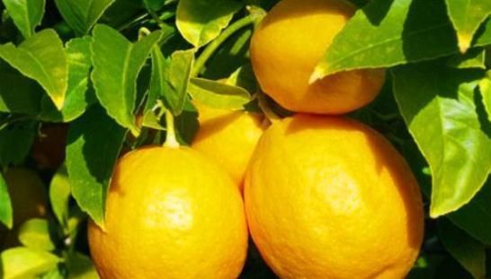 春天女性要多吃3種食物，排毒抗衰、養護血管，預防子宮早衰