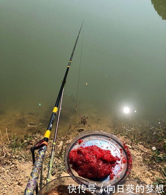 春天明明天气很好,但就是钓不到鱼试试这几种方法