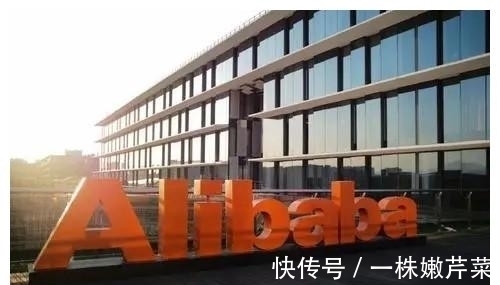 阿里集团|阿里再次被点名,中纪委公开批评阿里,“大”就不敢“办”你了?