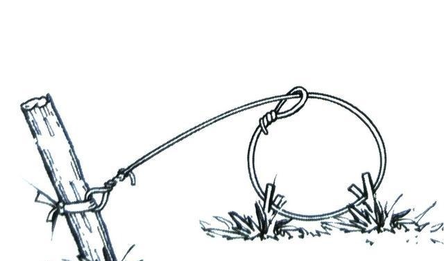  理解|《剑来》“请君入瓮”如何理解