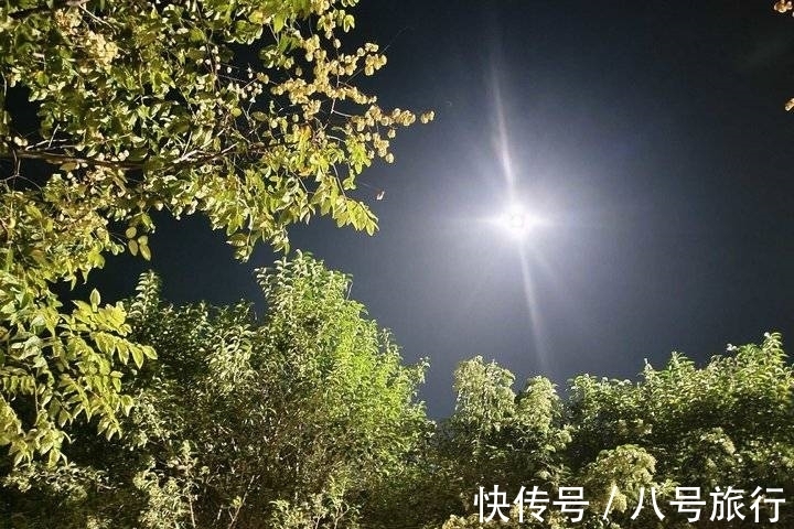 一颗流星#读《一枚被弃用的棋子》