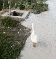 |搞笑GIF:大姐,不要不好意思,你也到了该找对象的年龄了