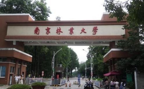 各有所长|全国三所顶级林业大学, 两所211, 均是双一流, 各有所长