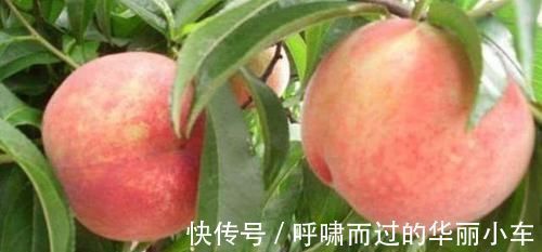 排毒养颜|每天晚上坚持吃3种食物，排毒养颜、增强体质，早吃早好！