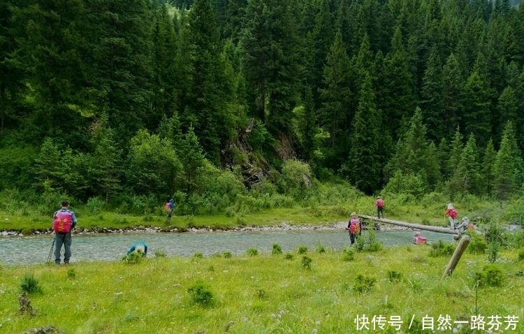 迭部|迭部措美，不忍错过的美丽