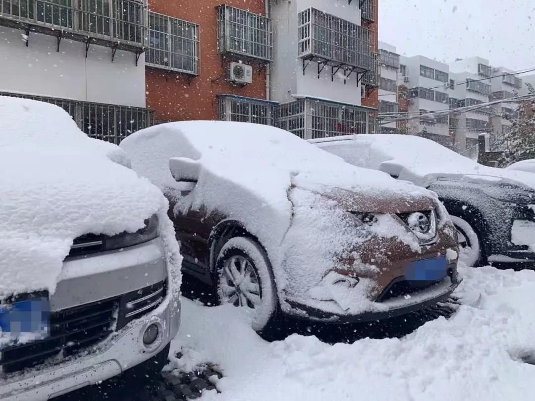 雪景|烟台终于下雪了！（附烟台绝美冰雪图）