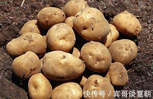 浆膜腔|爱吃土豆的注意，土豆和此物一起同食，就是没病找病，告诉身边人