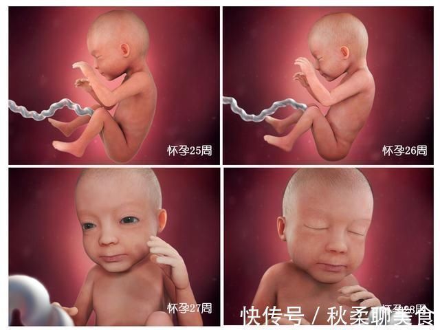 发育|胎儿40周变身记:从0.5厘米受精卵到50厘米宝宝,过程神奇