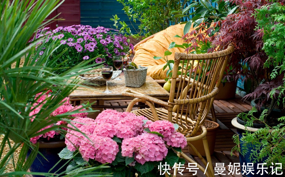 为了一盆花,家人关系彻底破裂,花有什么错?