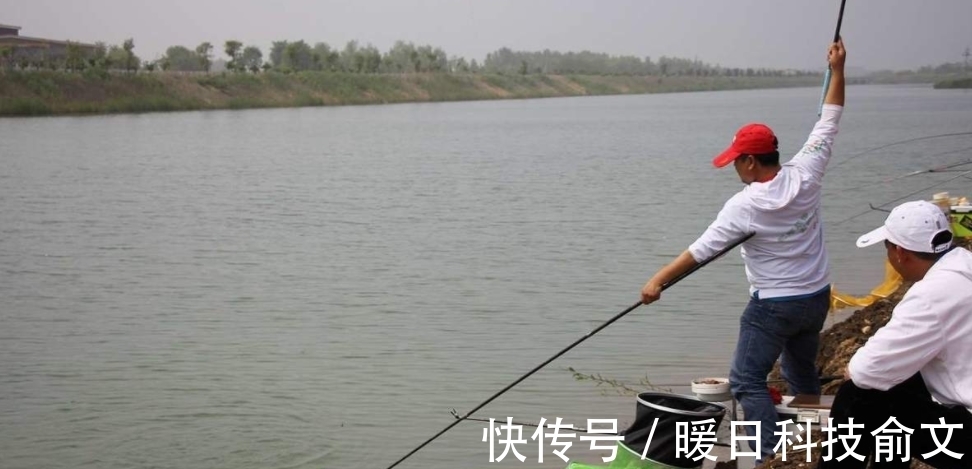 钓友|大鱼咬钩前原来有征兆,知道了,以后大鱼再也别想跑