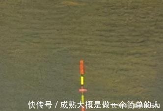 新手调漂,如何准确调漂找底以及更好的调节浮漂灵敏度,看这里