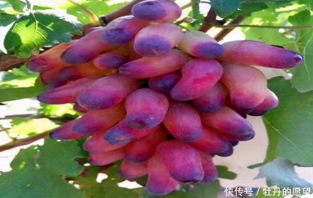 女性不想满脸皱纹,不妨多吃3种食物,美容养生