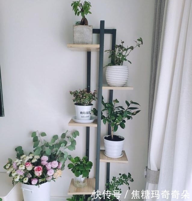 忠于颜值,始于陪伴!能让家幸福感爆棚,关键还不贵