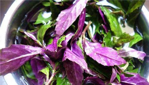  容错过|人到中年想长寿，推荐吃3种食物，排毒瘦身，降压减脂，不容错过