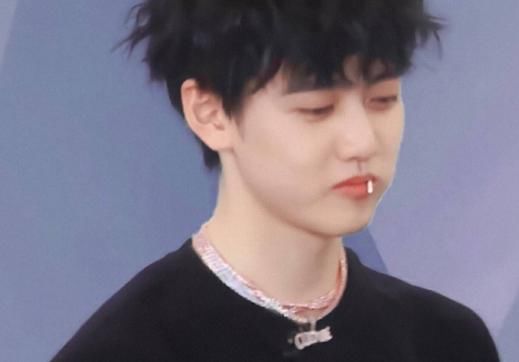 夏之光和焉栩嘉，何洛洛都是同一种类型，都有自己的特长