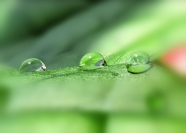 二十四节气诗！真的很美！