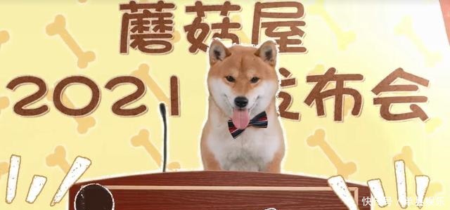 陈赫|《向往的生活》小H开发布会,细数蘑菇屋的小可爱,你还记得几个