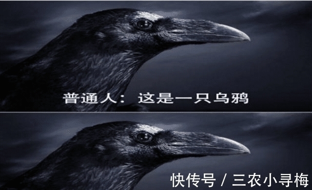 乌鸦|普通人和火影迷有什么区别?看看下面这4张图你就知道了,太真实
