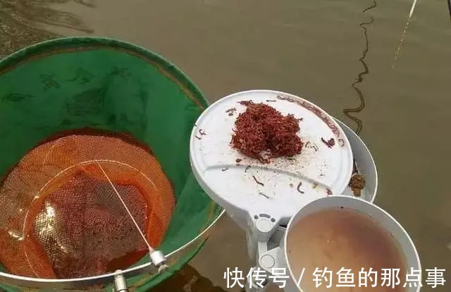 用红虫钓鱼怎么调漂?注意四个点