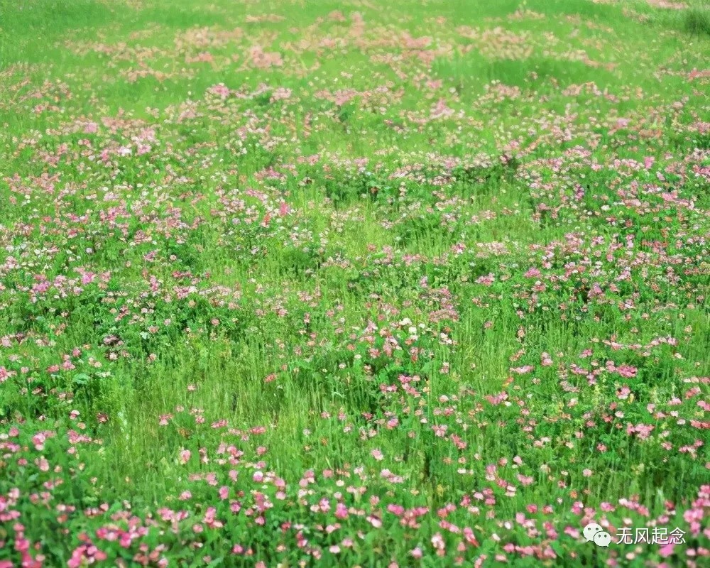 上海辞书出版社#才子与心上人久别重逢写下奇文,共28字全是叠字,令人拍案叫绝