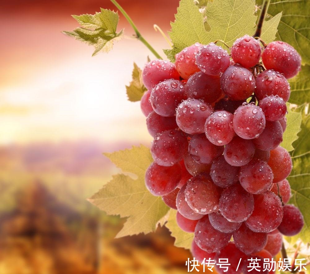 补脑|女性不想提前衰老,三种食物不能少,营养美味,越来越健康