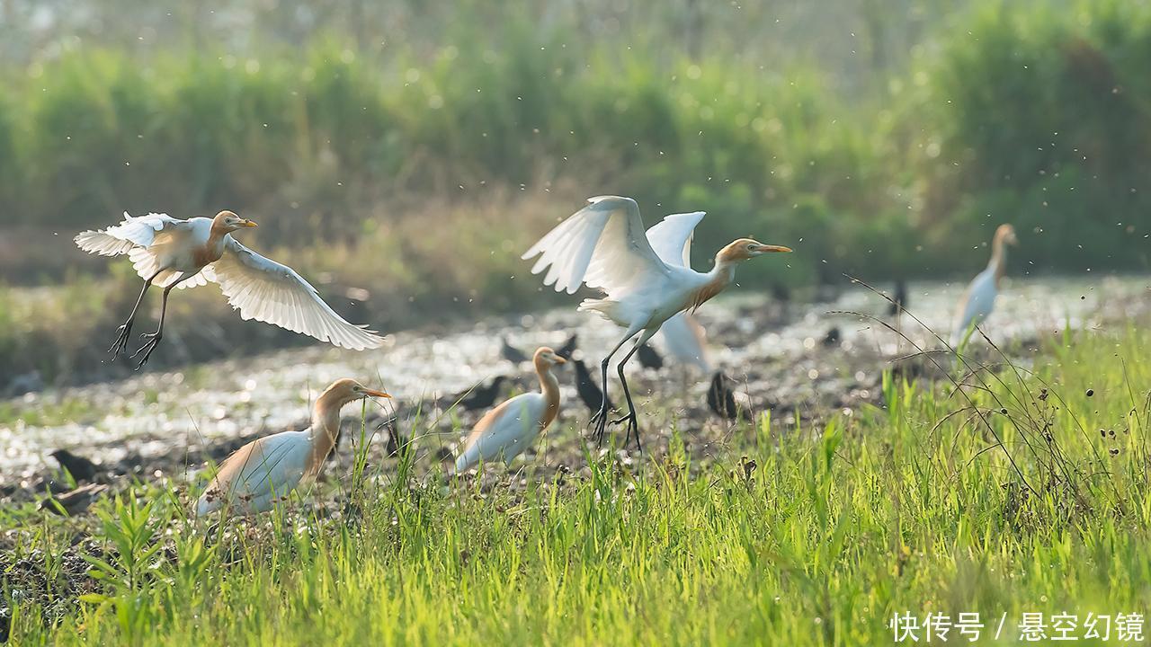 积雨#3首写景的千古名作,各有一个千古名句,第一首曾被誉为七律压卷