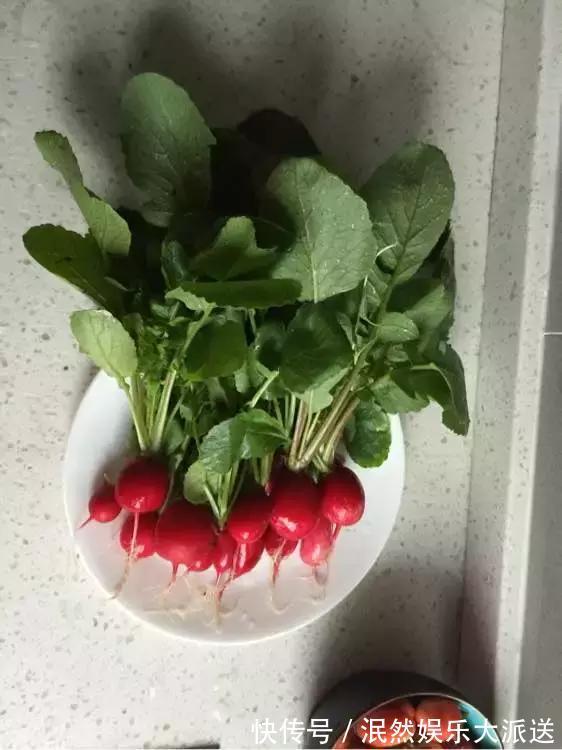 3种“水果”蔬菜，阳台就能种，青脆爽口，老人小孩都爱吃！