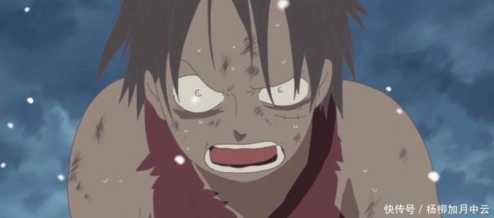 海贼王最神奇的恶魔果实!能无限分身,大招每隔10年发动一次