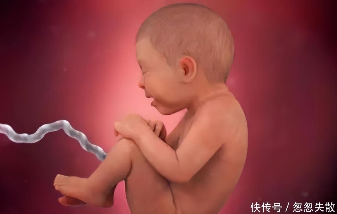 脐带|胎宝在妈妈肚子里无聊不?是时候告诉孕妈真相了,怪可爱的