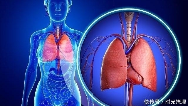 血管堵塞|每天坚持吃几粒,或许助你“清肠化栓”,血栓也不会靠近你