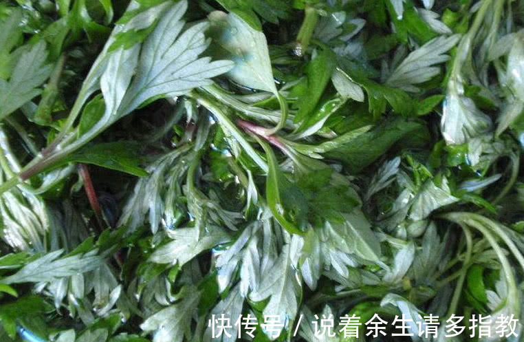 香气|这野草农村几乎随处见,它天生带一股“香气”,能吃还是天然药材