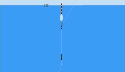 冬季|冬季鱼口轻,调漂很关键!两种调漂方法,让你中鱼率飙升!