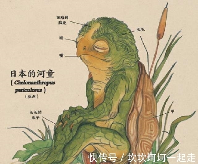 碟子$1991年日本河童现身,通体发绿头顶碟子,曾悬赏1000万抓捕